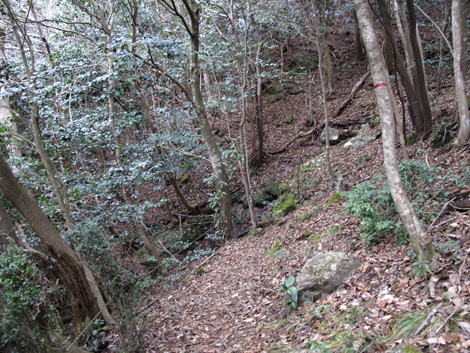 20140102hike (65)